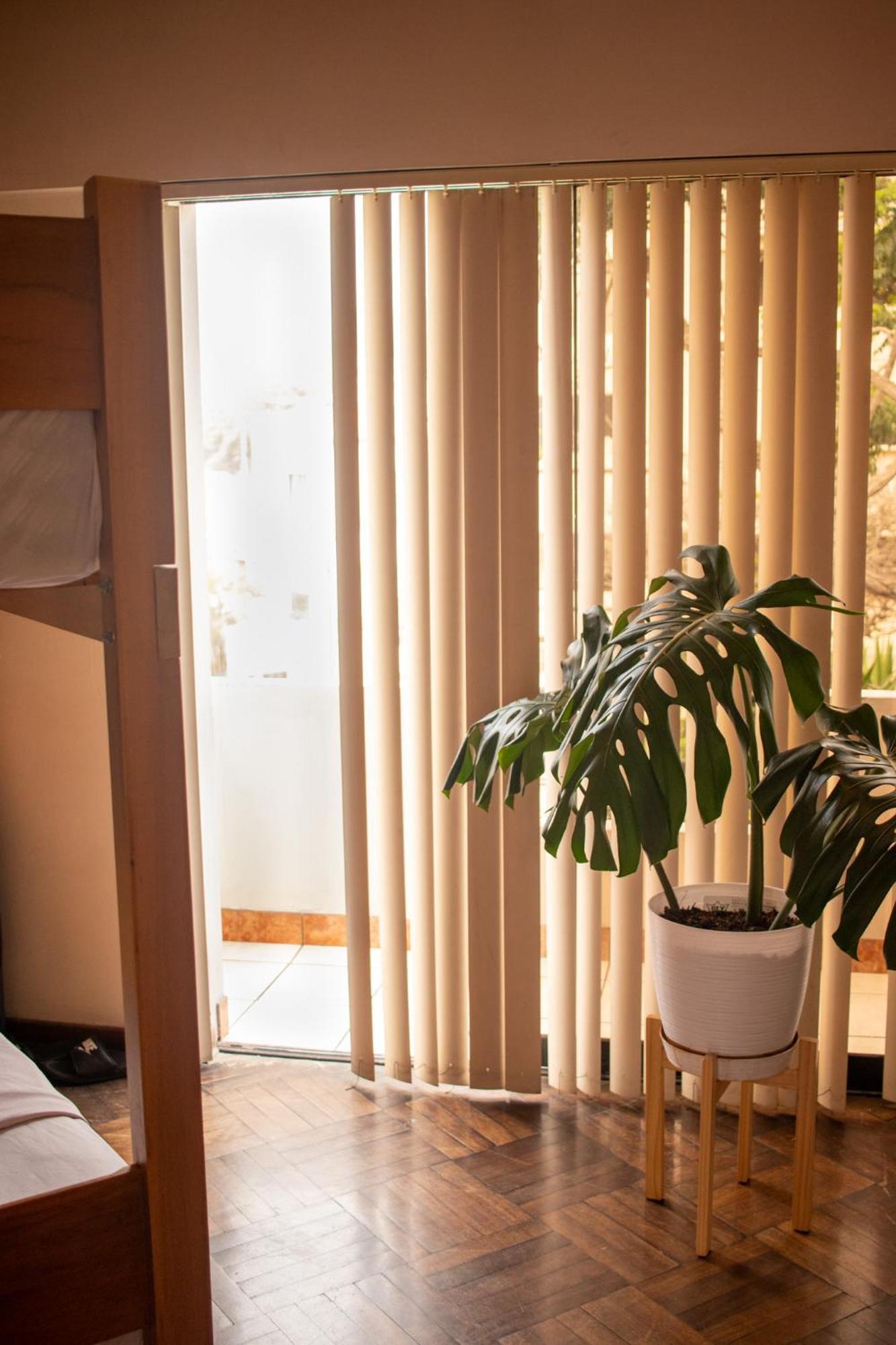 Temazcal Hostel Lima Eksteriør billede