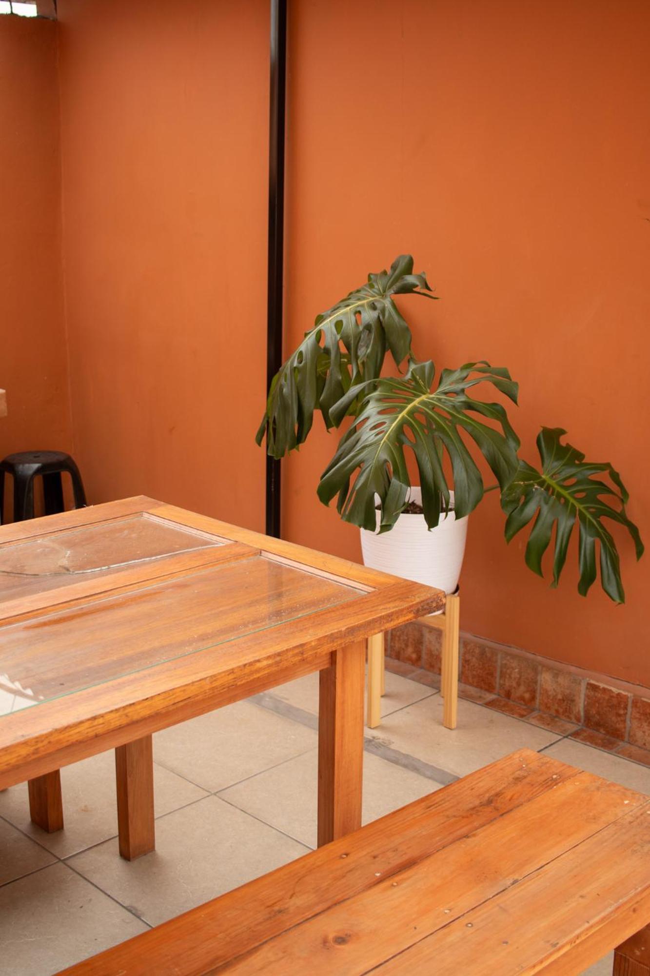 Temazcal Hostel Lima Eksteriør billede